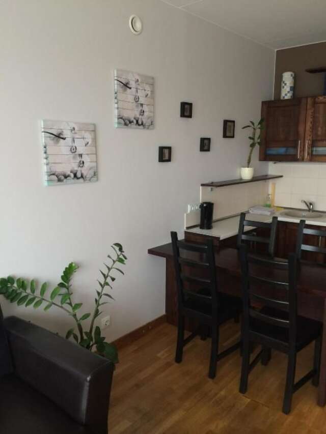 Апартаменты Klaipėda Center Apartment Клайпеда-24